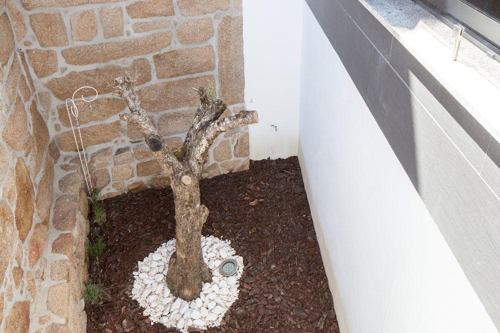 Casas Do Patio Country Houses & Nature Caldas da Felgueira Bagian luar foto