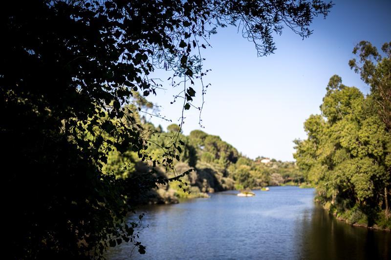 Casas Do Patio Country Houses & Nature Caldas da Felgueira Bagian luar foto