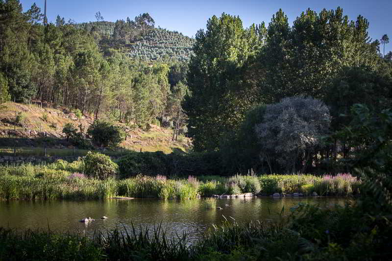 Casas Do Patio Country Houses & Nature Caldas da Felgueira Bagian luar foto