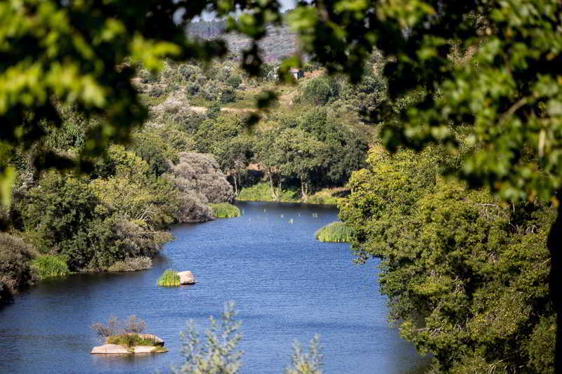 Casas Do Patio Country Houses & Nature Caldas da Felgueira Bagian luar foto
